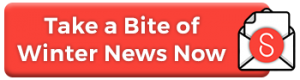 Take a Bite of Winter News Now